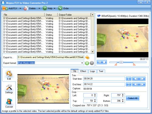 Moyea Youtube, FLV to Video Pro 2 Converter software  