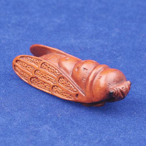 Hand Carved Boxwood Wood Netsuke Cicada NBW1347  