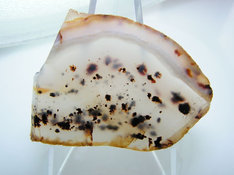 The Yellowstone River Agate Bedsfrom 2008