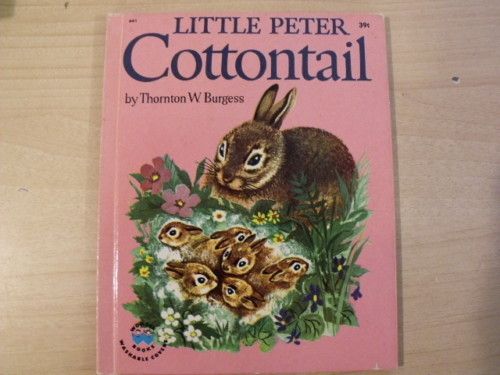 Wonder Book Little Peter Cottontail Burgess 1956 Vintag  