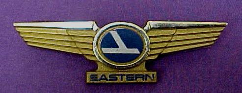 set of childrens Issue Eastern airlines wings  