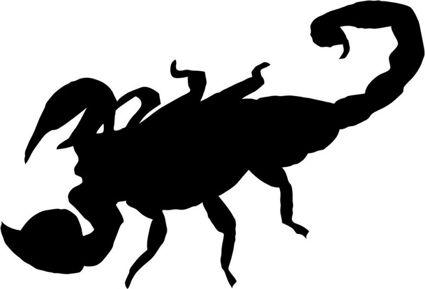 Scorpion Decal 3.75x5.5 choose color  