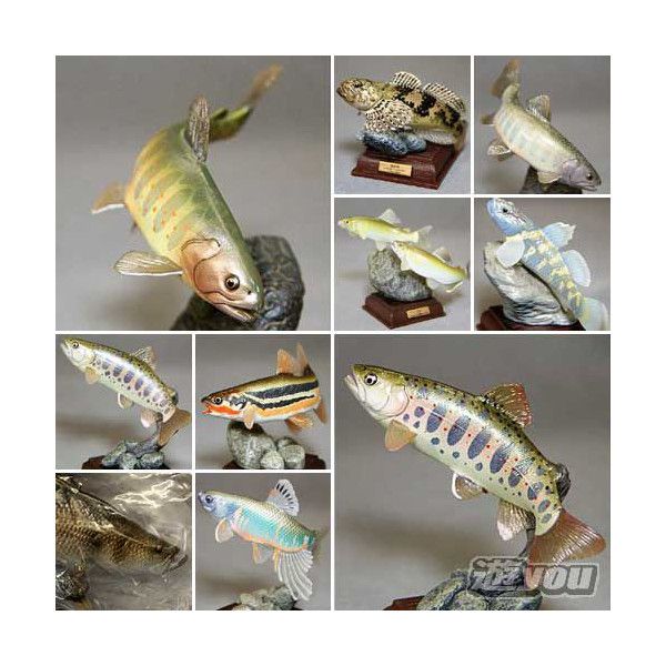   FISH MINIATURE PVC CAPSULE MUSEUM TAXIDERMY REPLICA AMUR GOBY  