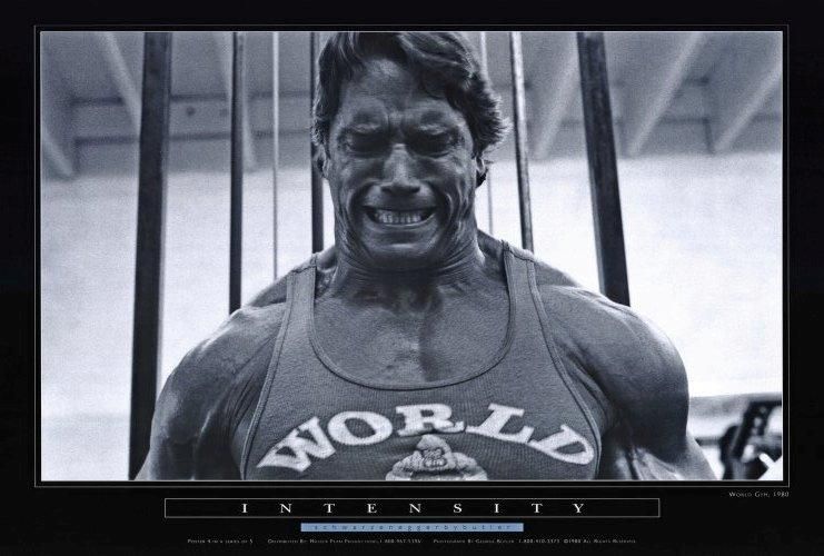 Arnold Schwarzenegger 27 x 40 Movie Poster , Style C  