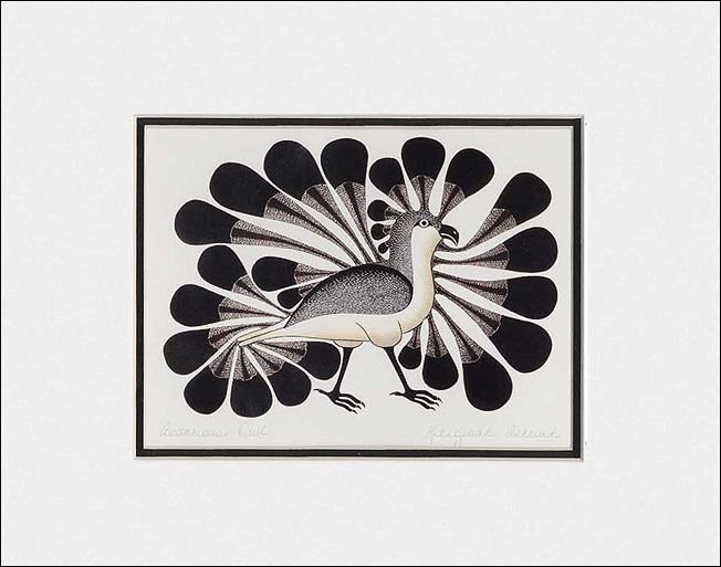 KENOJUAK ASHEVAK Native Inuit Print AUDACIOUS OWL  