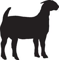 BOER GOAT #7 Vinyl Sticker Decal animal silhouette car  