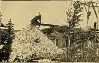 presents cripple creek illustrated colorado gold mining town 1896 