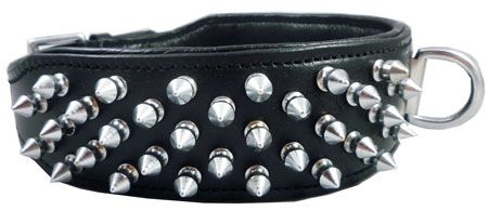 Black Real Leather Spikes Dog Collar Pit Bull Boxer 2  