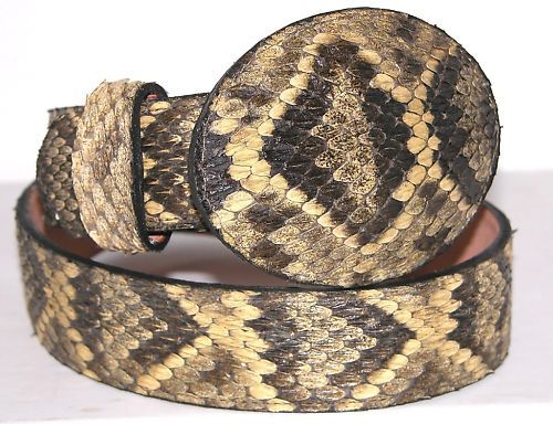 Genuine Eastern Diamondback Rattlesnake Belt & Buckle on PopScreen