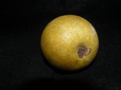 ANTIQUE ALABASTER STONE FRUIT PEAR  