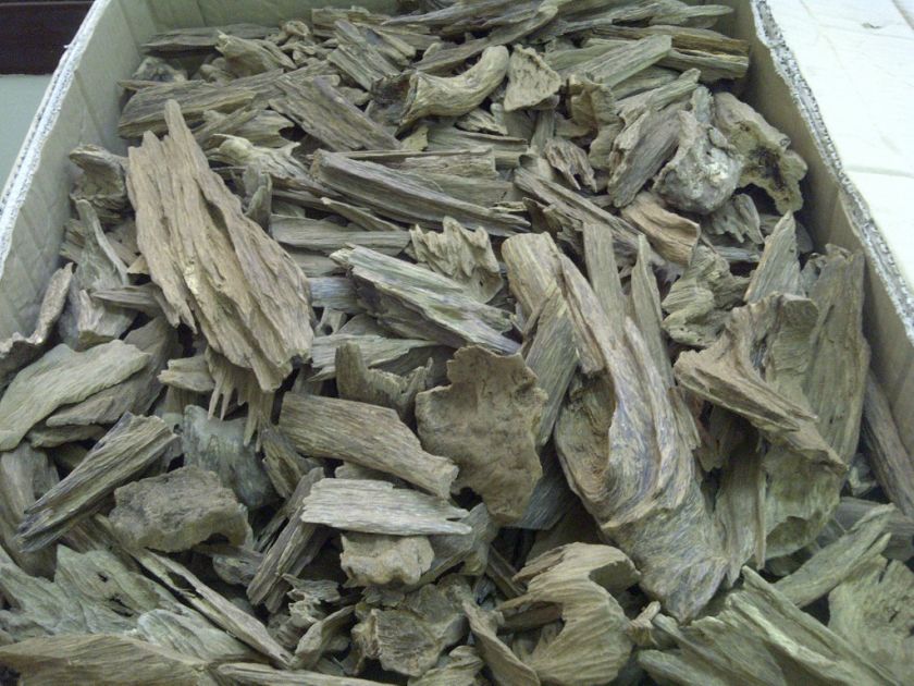 Incense   AGARWOOD Chips   Irian Jaya / Papua New Guine  