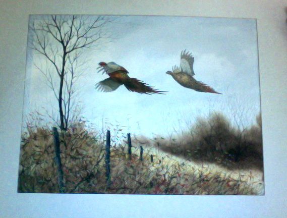   Hagerbaumer Original Signed Water color painting Gamebirds PHEASANT