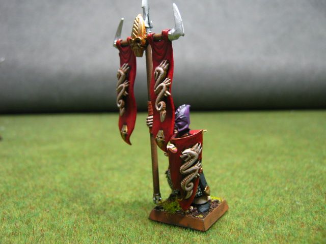 Warhammer DPS painted Dark Elf Spearmen DK008b  