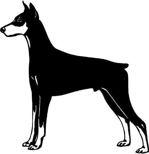 Doberman Dog Vinyl Decal Car Truck Window Sticker  