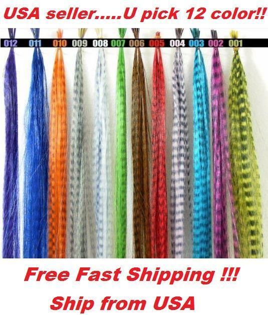   Pick Grizzly Synthetic 16 Feather Hair Extensions + Free Beads  