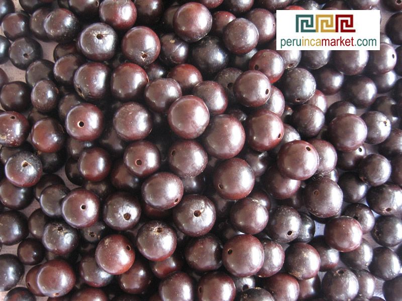 90 BEADS CHOLOQUE  RAINFOREST ECO SEEDS JEWELRY  