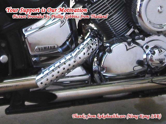 Motorcycle Cruising Heat Exhaust Shield Guard (Curve)  