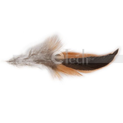 NEW 50pcs Natural Rooster feathers 4 9 color&quantity optional for 