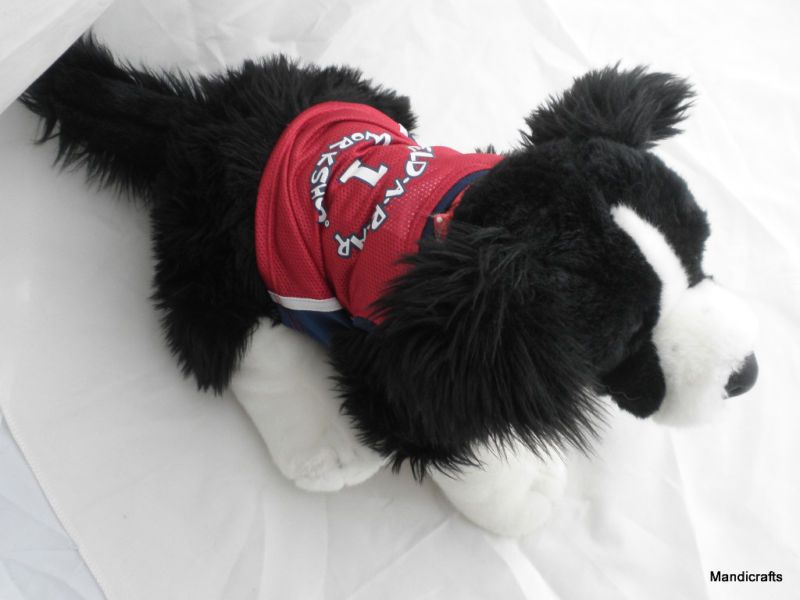 BUILD A BEAR BABW Plush BORDER COLLIE DOG in NBA shirt  