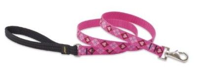 Lupine 3/4 Pet Dog Leash/Lead 4 Puppy Love  